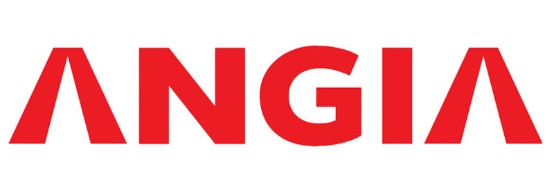 an gia investmet logo